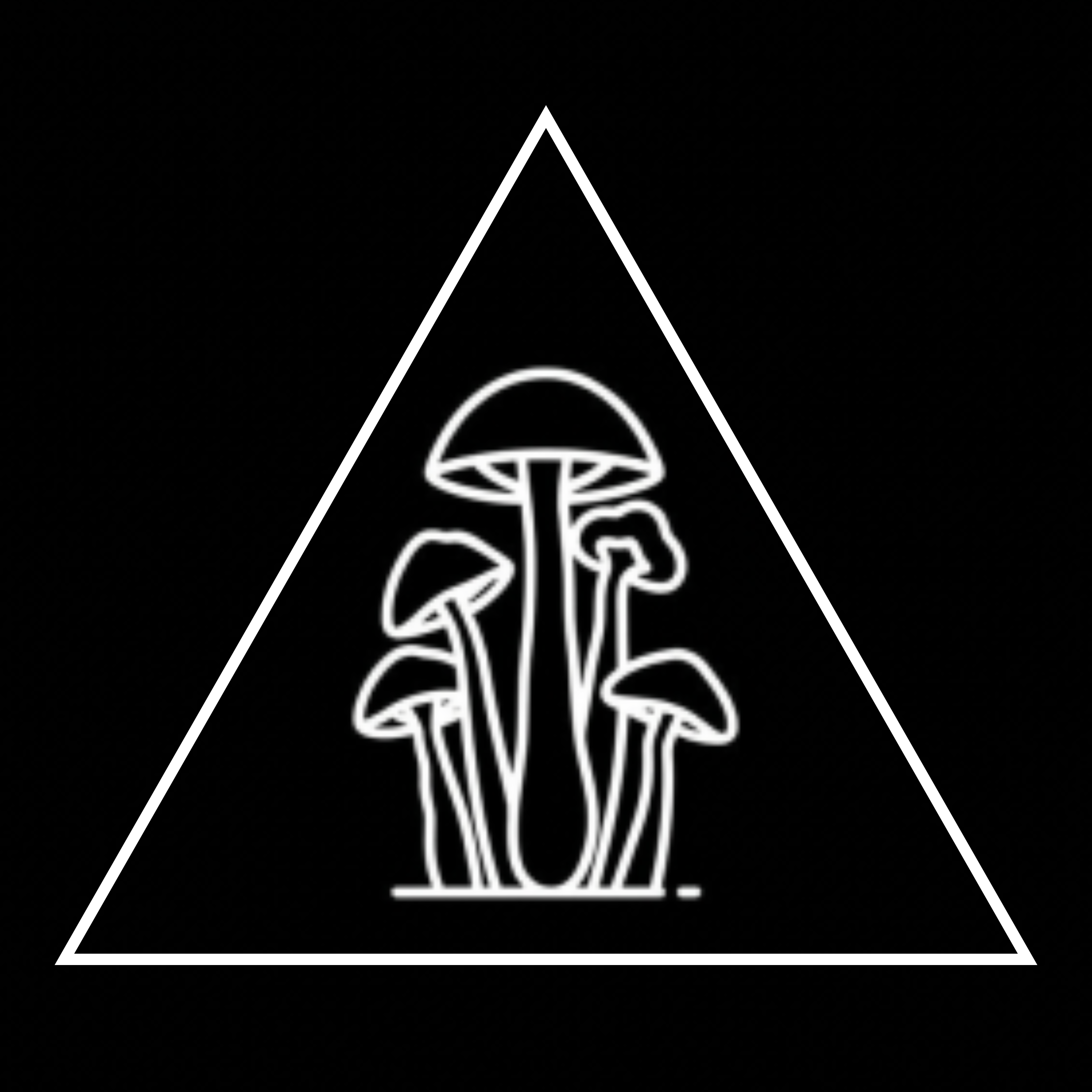 Featured Functional Mushrooms