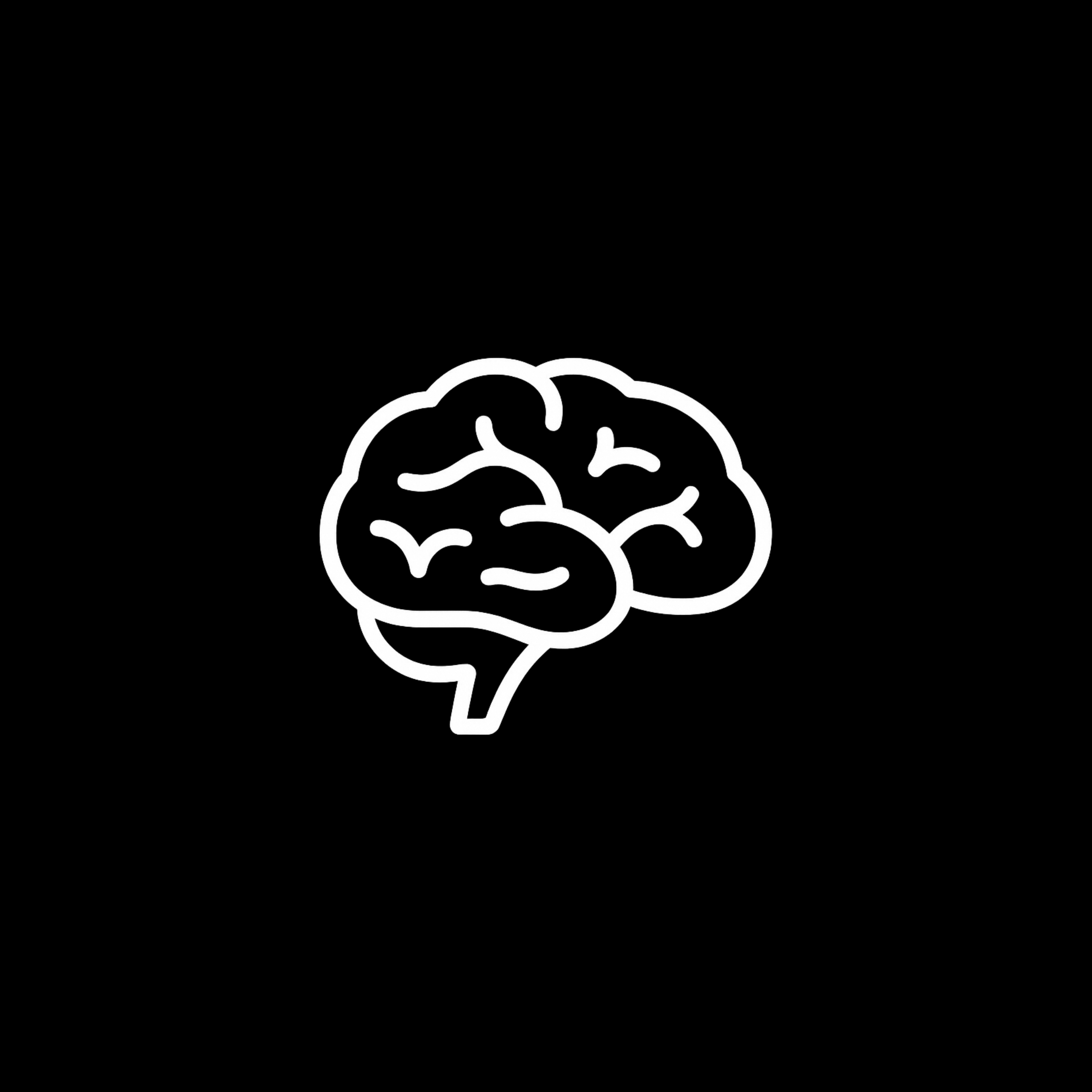 Brain & Cognitive Support