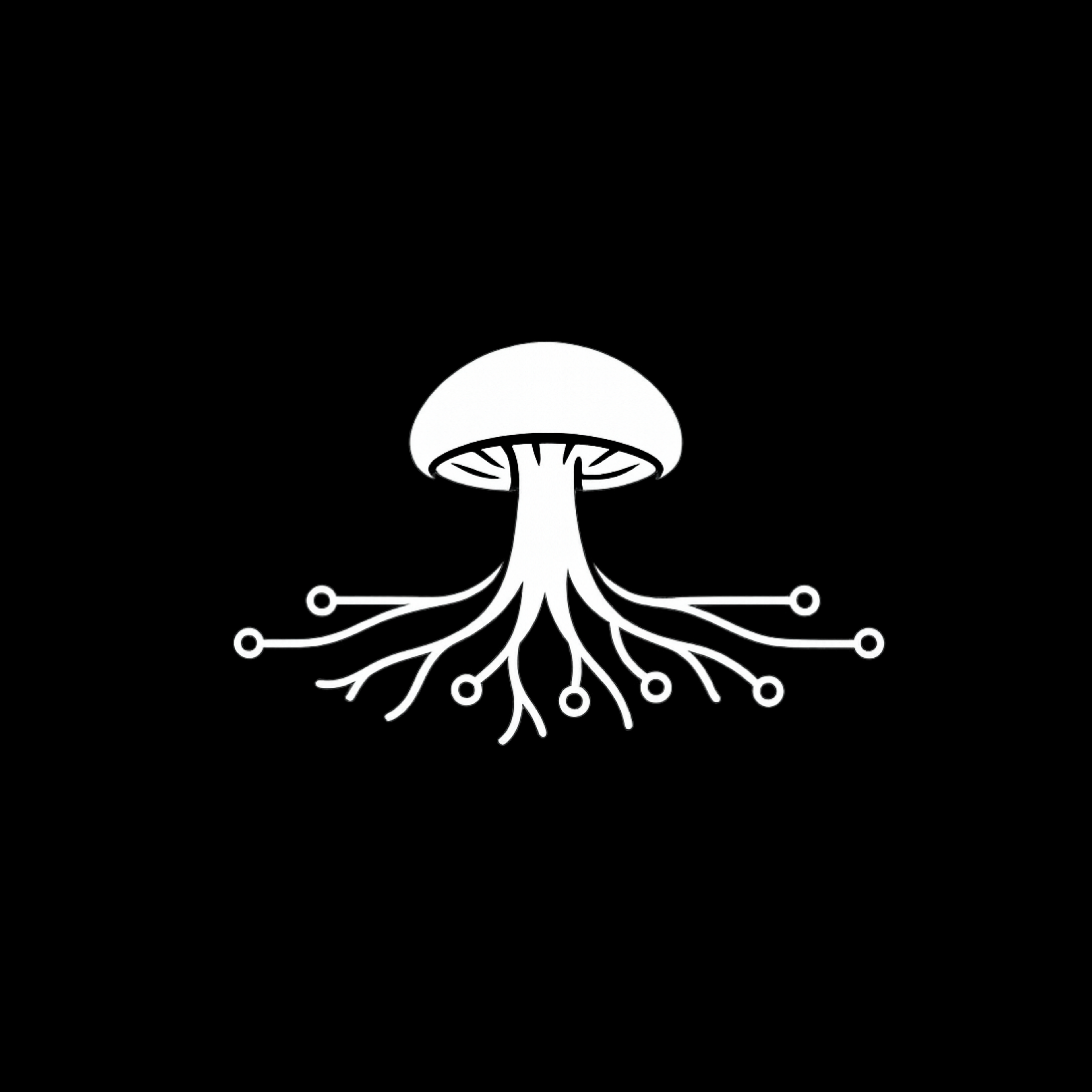 Shop Functional Mushrooms by Benefit
