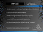 Shiitake Ultrasonic Dual-Extract Mushroom Tincture