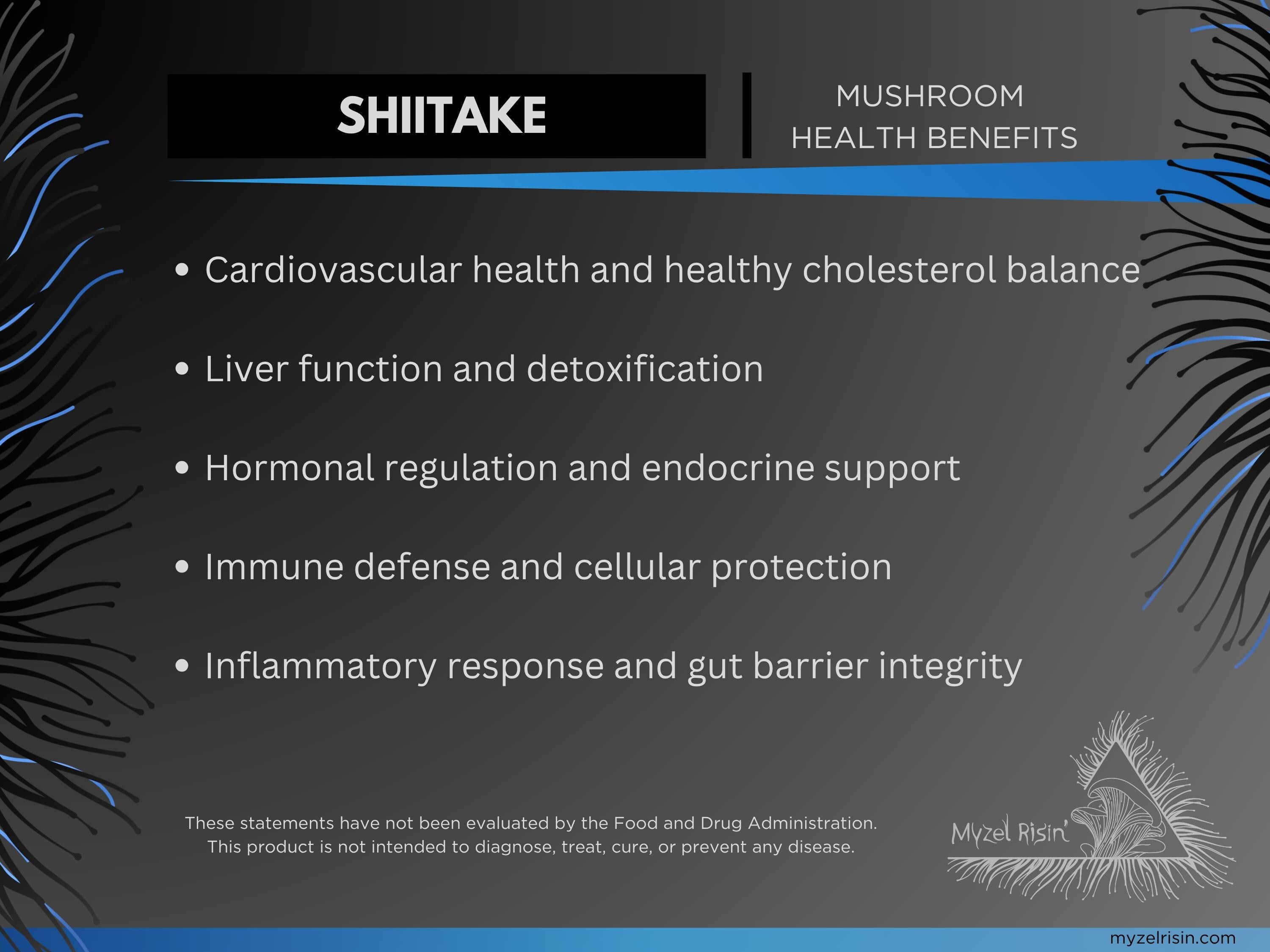 Shiitake Ultrasonic Dual-Extract Mushroom Tincture