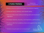 5 Fungi Friends Mushroom Blend