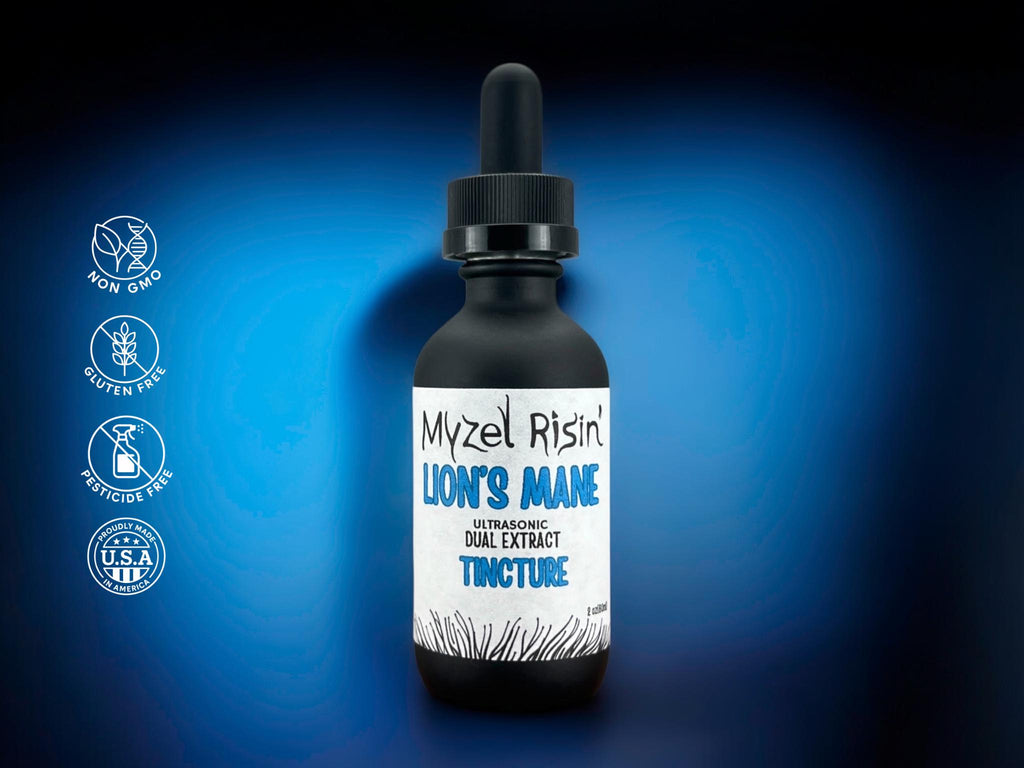Lion’s Mane Ultrasonic Dual-Extract Mushroom Tincture