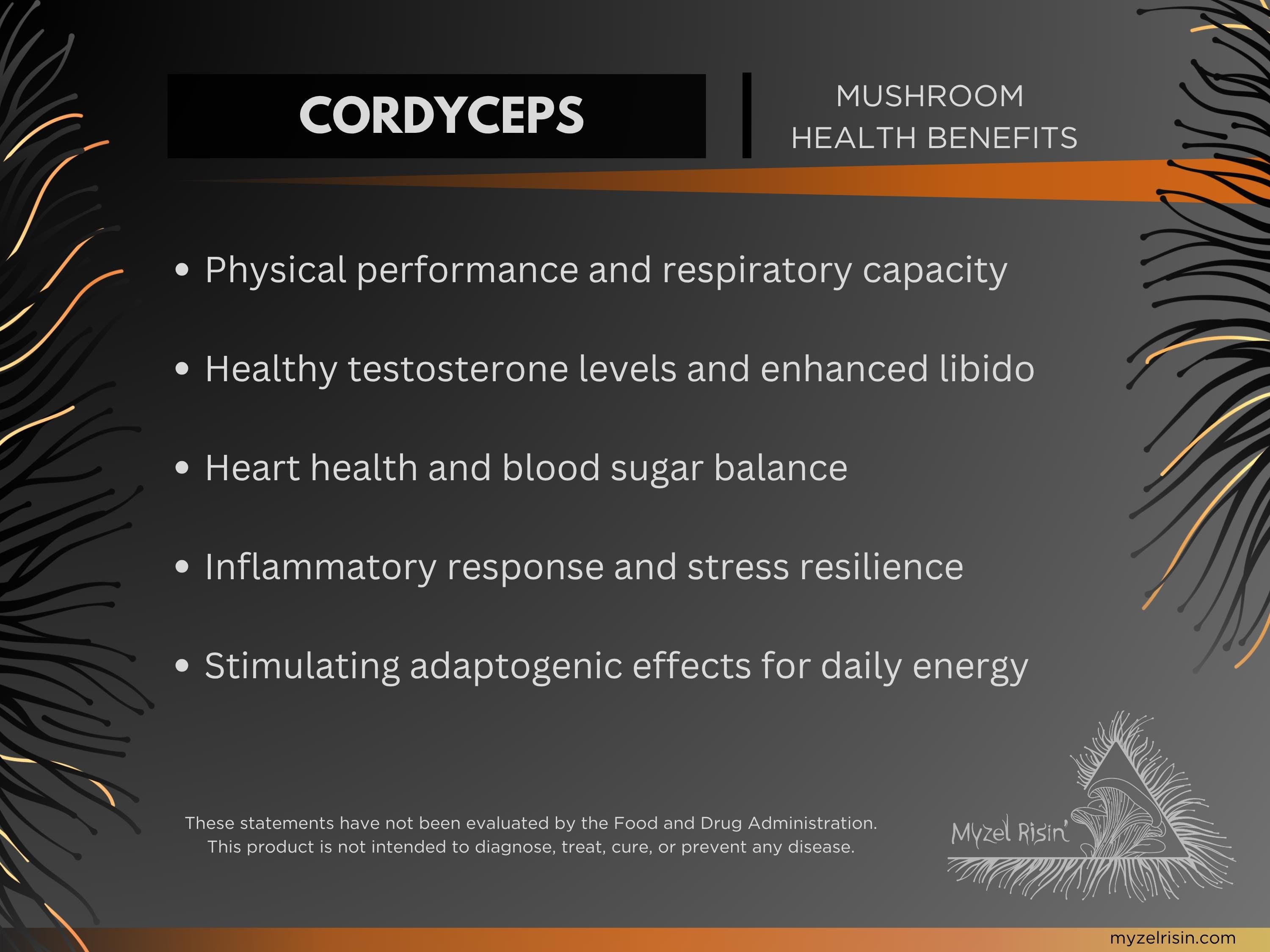 Cordyceps Ultrasonic Dual-Extract Mushroom Tincture