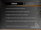 Chaga Ultrasonic Dual-Extract Mushroom Tincture
