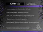 Turkey Tail Ultrasonic Dual-Extract Mushroom Tincture