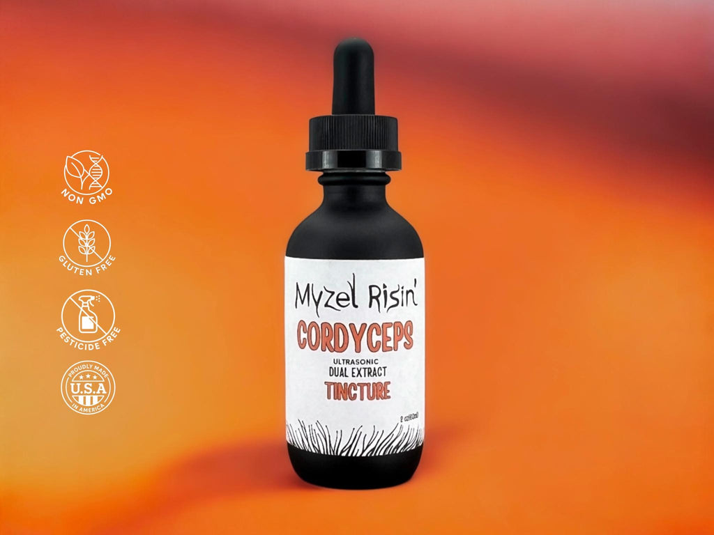 Cordyceps Ultrasonic Dual-Extract Mushroom Tincture