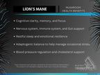 Lion’s Mane Cocoa Powder