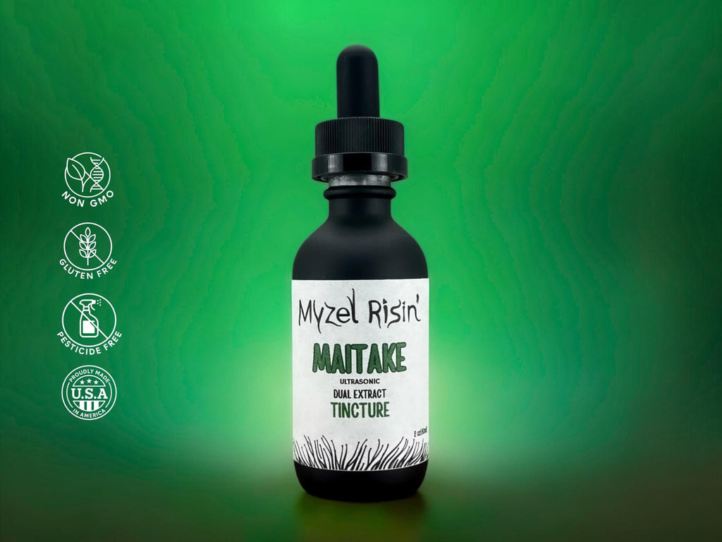 Maitake Ultrasonic Dual-Extract Mushroom Tincture