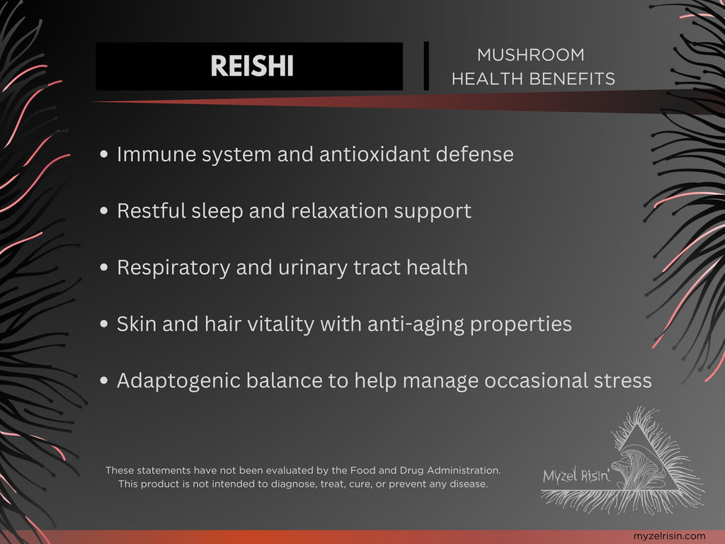 Reishi Ultrasonic Dual-Extract Mushroom Tincture