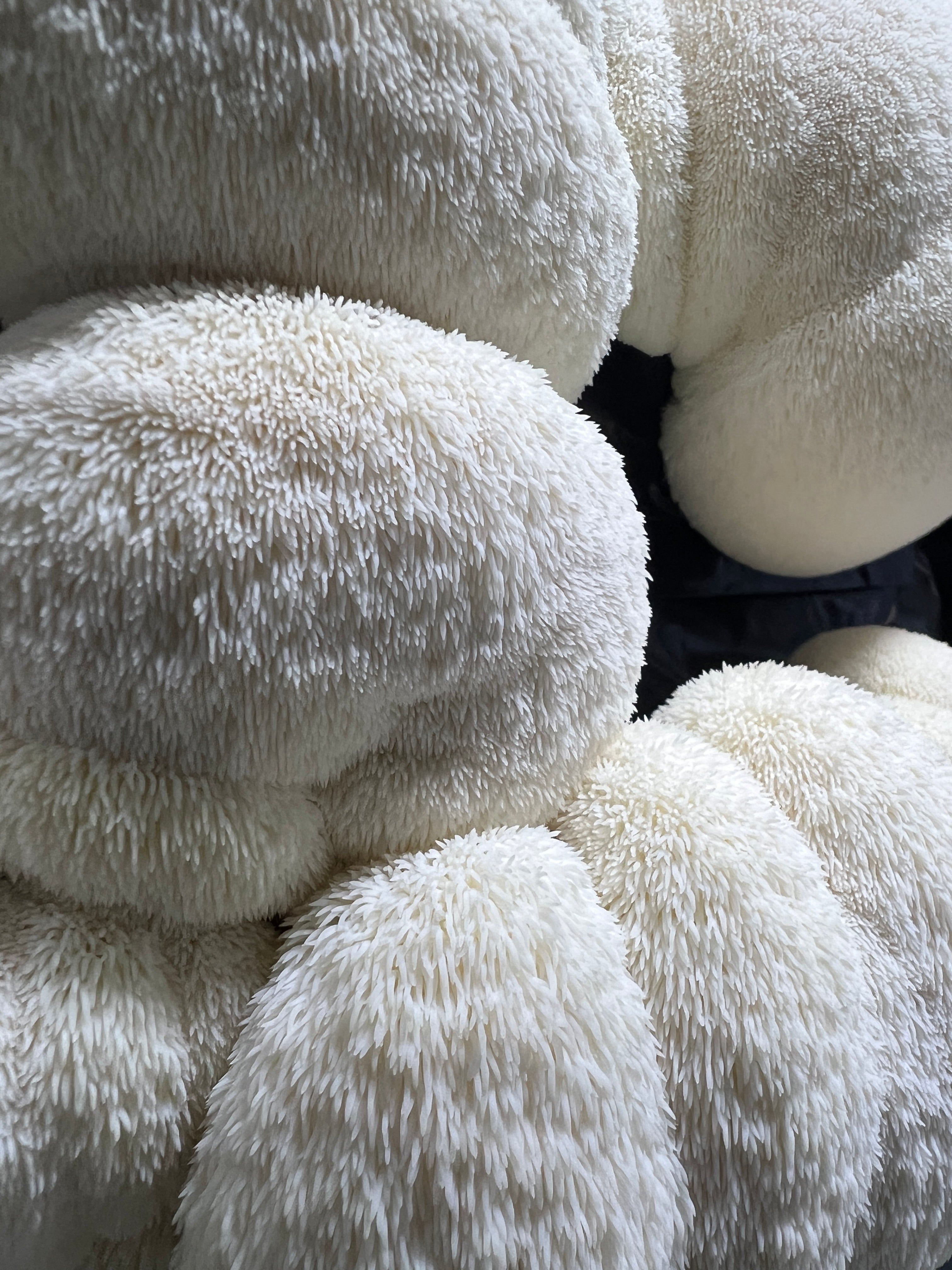 Fresh cluster of Myzel Risin' midwest grown Lions Mane